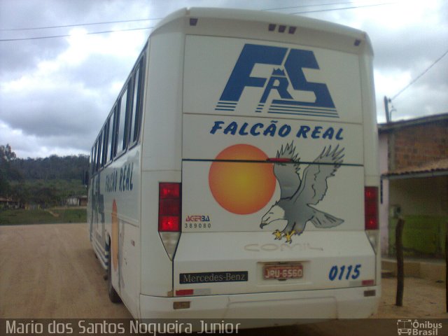 Falcão Real 0115 na cidade de Mundo Novo, Bahia, Brasil, por Mario dos Santos Nogueira Junior. ID da foto: 4503029.