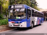 Trans Bus Transportes Coletivos 355 na cidade de São Paulo, São Paulo, Brasil, por Felipe Vitor Paixão Vieira. Número da foto: #4503347.