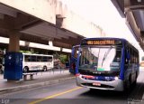 Trans Bus Transportes Coletivos 113 na cidade de São Caetano do Sul, São Paulo, Brasil, por Felipe Vitor Paixão Vieira. Número da foto: #4503332.