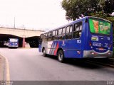 Trans Bus Transportes Coletivos 113 na cidade de São Caetano do Sul, São Paulo, Brasil, por Felipe Vitor Paixão Vieira. Número da foto: #4503336.