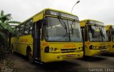 Alvorada Sul-América de Turismo Asatur 440 na cidade de Vila Velha, Espírito Santo, Brasil, por Saimom  Lima. Número da foto: #4568392.