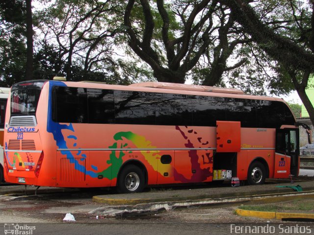 Chilebus Internacional 223 na cidade de São Paulo, São Paulo, Brasil, por Fernando Santos. ID da foto: 4573067.