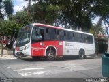 Allibus Transportes 4 5571 na cidade de São Paulo, São Paulo, Brasil, por Clayton  Costa. Número da foto: #:id.