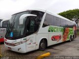 Eucatur - Empresa União Cascavel de Transportes e Turismo 4939 na cidade de São Paulo, São Paulo, Brasil, por Cristiano Vieira Silva. Número da foto: #:id.