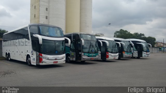 Auto Viação Catarinense 3387 na cidade de Criciúma, Santa Catarina, Brasil, por Felipe  Brignol. Número da foto: #4510750.