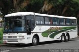 Viação Graciosa 168 na cidade de Curitiba, Paraná, Brasil, por Douglas Paternezi. Número da foto: #4511002.