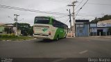 Pássaro Verde 29019 na cidade de Santa Bárbara, Minas Gerais, Brasil, por Diego Magno. Número da foto: #:id.