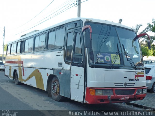 Ônibus Particulares 204 na cidade de Fortaleza, Ceará, Brasil, por Amós  Mattos. Número da foto: #4513217.