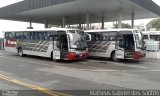 Trans Netti 0823 na cidade de Campinas, São Paulo, Brasil, por Matheus Gabriel dos Santos. Número da foto: #4513305.