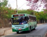 Bettania Ônibus 07495 na cidade de Belo Horizonte, Minas Gerais, Brasil, por Welisson  Oliveira. Número da foto: #:id.