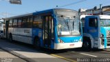 TUPI - Transportes Urbanos Piratininga 6 2011 na cidade de São Paulo, São Paulo, Brasil, por Nivaldo  Fernandes. Número da foto: #:id.