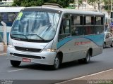 Ribe Transporte 2500 na cidade de Ribeirão Preto, São Paulo, Brasil, por Fernando Reis. Número da foto: #4573712.