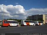 VIAN - Viação Anapolina 810 na cidade de Brasília, Distrito Federal, Brasil, por Fernando Pereira Azevedo de Sousa. Número da foto: #:id.