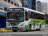 Viação Dedo de Deus 308 na cidade de Teresópolis, Rio de Janeiro, Brasil, por Fernando Silva. Número da foto: #:id.
