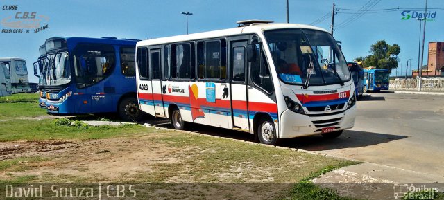 Transporte Tropical 4023 na cidade de Aracaju, Sergipe, Brasil, por David  Souza. ID da foto: 4603622.