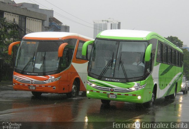 Caribeños 00 na cidade de Alto Paraíso de Goiás, Goiás, Brasil, por Fernando Gonzalez Garita. Número da foto: #4604880.