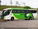 Pássaro Verde 1045 na cidade de João Monlevade, Minas Gerais, Brasil, por César Natividade. Número da foto: #:id.