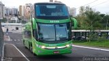 Pássaro Verde 12119 na cidade de Ribeirão Preto, São Paulo, Brasil, por Cicero Augusto. Número da foto: #:id.