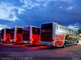 Translima 010 na cidade de Teresina, Piauí, Brasil, por Clemilton Rodrigues . Número da foto: #4605391.