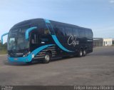Empresa de Ônibus Nossa Senhora da Penha 52010 na cidade de Pelotas, Rio Grande do Sul, Brasil, por Felipe Ferreira Ribeiro. Número da foto: #4610203.