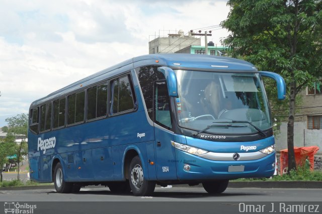Pegasso 5054 na cidade de Álvaro Obregón, Ciudad de México, México, por Omar Ramírez Thor2102. Número da foto: #4616484.