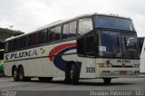 Pluma Conforto e Turismo 3839 na cidade de Curitiba, Paraná, Brasil, por Douglas Paternezi. Número da foto: #4614917.