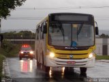 Viação Pioneira 224936 na cidade de Brasília, Distrito Federal, Brasil, por Ricardo Vieira. Número da foto: #4615369.