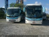 Transbraz 1146 na cidade de Gravatá, Pernambuco, Brasil, por Matheus  Nascimento. Número da foto: #:id.
