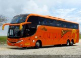 Oliver Turismo 257 na cidade de São Paulo, São Paulo, Brasil, por Leonardo Fidelli. Número da foto: #4578087.