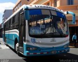 Buses Guadalupe 88 na cidade de , por Sebastián Cruz. Número da foto: #4620653.