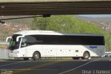 Pegasso 5056 na cidade de Morelia, Michoacán, México, por Omar Ramírez Thor2102. Número da foto: #4621994.