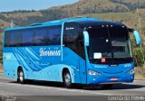 Divinéia Turismo 2000 na cidade de Roseira, São Paulo, Brasil, por Leonardo Fidelli. Número da foto: #4624576.
