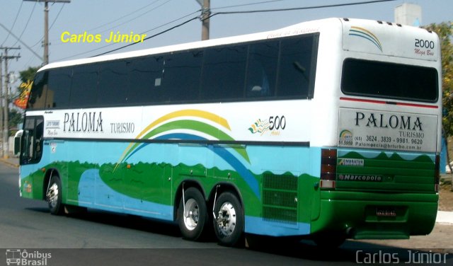 Paloma Turismo 2000 na cidade de Goiânia, Goiás, Brasil, por Carlos Júnior. Número da foto: #4634525.