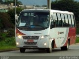 Rouxinol 475 na cidade de Belo Horizonte, Minas Gerais, Brasil, por Adão Raimundo Marcelino. Número da foto: #:id.