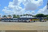 Vitória 11 na cidade de Caucaia, Ceará, Brasil, por Patrick Nauan Lima. Número da foto: #:id.
