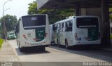 Imperial Transportes 5 4017 na cidade de São Paulo, São Paulo, Brasil, por Roberto Teixeira. Número da foto: #4640157.