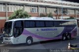 Transbrasiliana Transportes e Turismo 50059 na cidade de Goiânia, Goiás, Brasil, por Douglas Paternezi. Número da foto: #4638939.