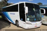 Trans Ronar Turismo 185 na cidade de Campos do Jordão, São Paulo, Brasil, por George Miranda. Número da foto: #:id.