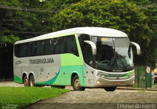 Transbrasiliana Transportes e Turismo 51019 na cidade de São Paulo, São Paulo, Brasil, por Leonardo Fidelli. ID da foto: 4642866.