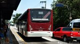 Viação Campo Belo TREINAMENTO na cidade de São Paulo, São Paulo, Brasil, por Asprilla Matheus. Número da foto: #:id.