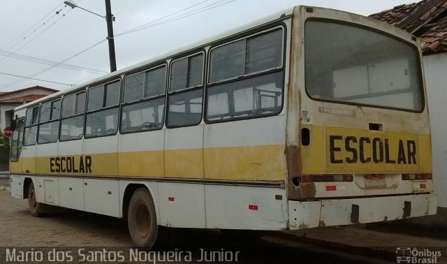 Escolares 8047 na cidade de Piritiba, Bahia, Brasil, por Mario dos Santos Nogueira Junior. Número da foto: #4578871.