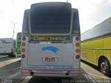 Cometinha - Viação Marvin 7728 na cidade de Aparecida, São Paulo, Brasil, por Lorran Santos Faria. Número da foto: #:id.