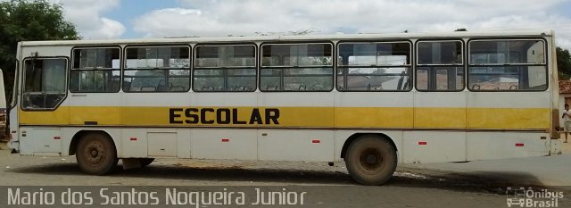 Escolares 8047 na cidade de Piritiba, Bahia, Brasil, por Mario dos Santos Nogueira Junior. Número da foto: #4582153.