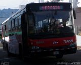 TUASA - Transportes Unidos Alajuelenses 17 na cidade de , por Luis Diego Sánchez. Número da foto: #:id.