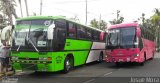 TRACOPA - Transportes Costarricenses Panameños 44 na cidade de , por Josué Mora. Número da foto: #4593839.