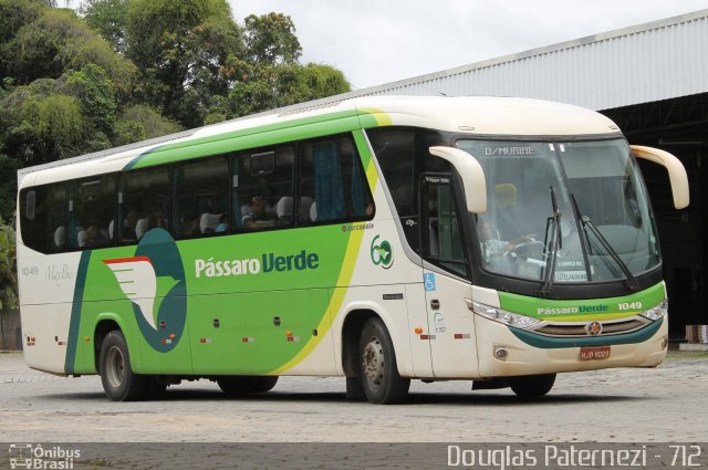 Pássaro Verde 1049 na cidade de Leopoldina, Minas Gerais, Brasil, por Douglas Paternezi. Número da foto: #4668839.