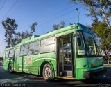 STE - Servicio de Transportes Eléctricos del Distrito Federal 9733 na cidade de Gustavo A. Madero, Ciudad de México, México, por Omar Ramírez Thor2102. Número da foto: #4670854.
