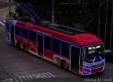 Himalaia Transportes > Ambiental Transportes Urbanos 4 1600 na cidade de São Paulo, São Paulo, Brasil, por Leonardo Fidelli. Número da foto: #4678199.