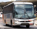 Empresa Caiense de Ônibus 184 na cidade de Porto Alegre, Rio Grande do Sul, Brasil, por Lucas  Furtado da Rosa. Número da foto: #:id.