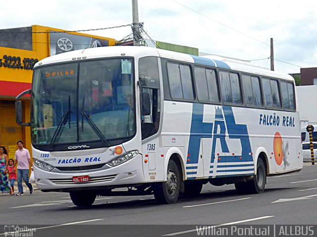 Falcão Real 1305 na cidade de Feira de Santana, Bahia, Brasil, por Willian Pontual. ID da foto: 4678507.